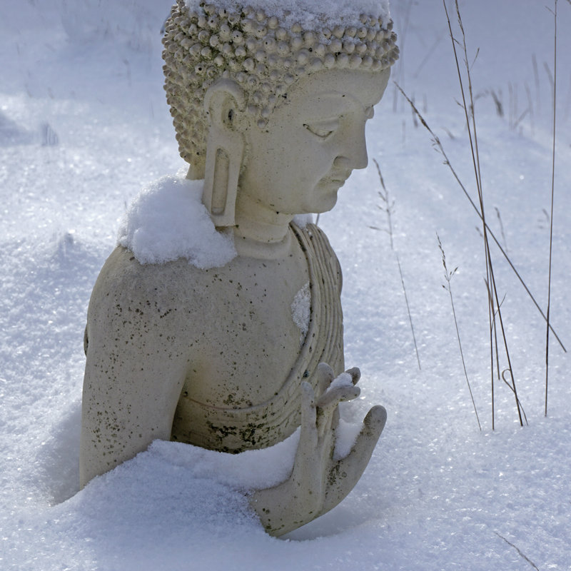 Bouddha blanc crème assis dans la neige par Wieland Teixeira, H 36 po x l 36 po x P 1,25 po