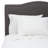 Siegle Cotton Blend-706717664-706717671