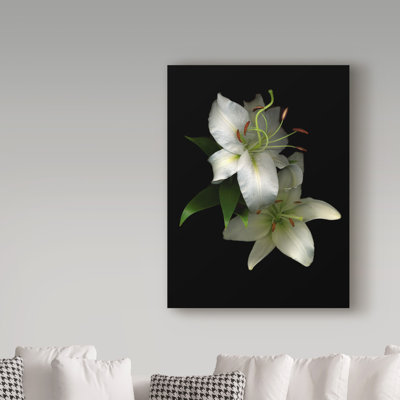 «White Lilies 2» par Dosta, impression sur toile tendue