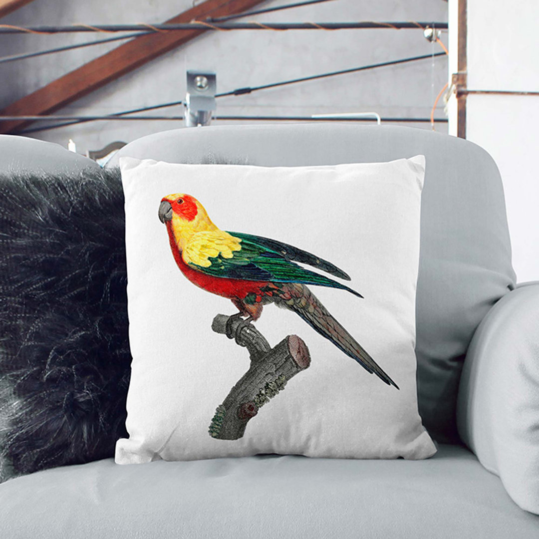 A Sun Parakeet by F. Levaillant Cushion with Filling