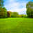 Green Field, Beautiful Landscape by Ewastudio - Wrapped Canvas Print-1553733302