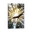 «Master of Heaven Bold Eagle» par Nik Rave - reproduction de photo sur toile tendue-56039838-74873596