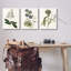 Ensemble de 3 impressions murales rétro sur toile beige par Curtis-542243493