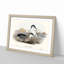 Little Blue Penguins by Elizabeth Gould - Picture Frame Painting Print-55580764-55580765