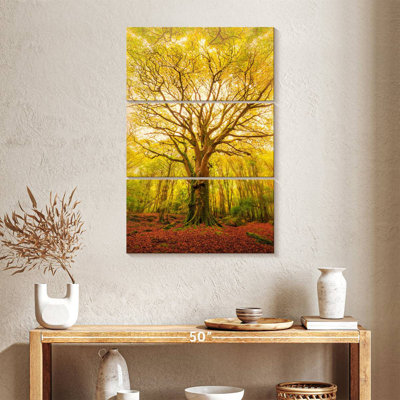 Harnek European Ash Tree