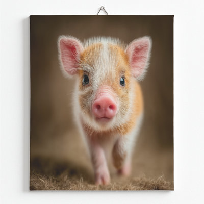 Pig Canvas Wall Art Decor By DC- Framed Wall Art Prints | Canvas Pictures For Living, Bedroom, Office- Animal Wall Canvas Aesthetic Home Decor Photo Poster- 12X16