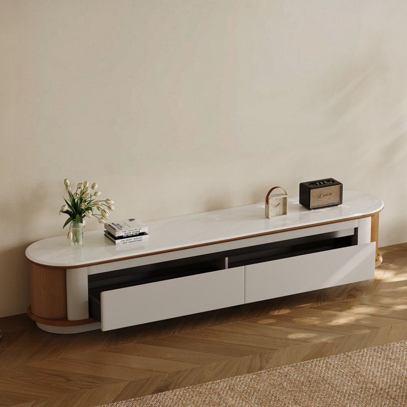 Modern Minimalist TV Stand