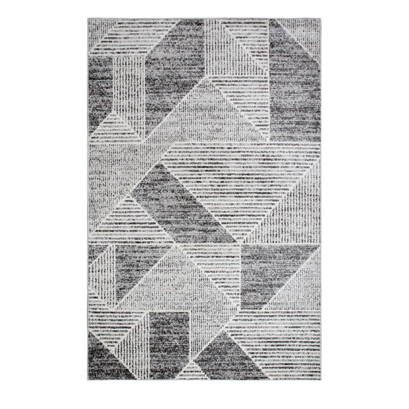 Lenwood Geometric Shapes Area Rug, Rectangle 60 x 110cm, Gray/Silver