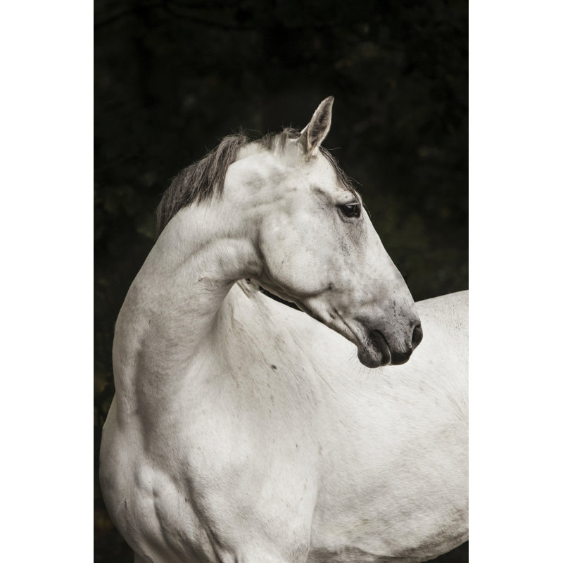 " Elegant ", 18" H x 12" W  