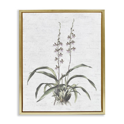«Blooming Herb Bud», art mural encadré sur toile flottante par lettré et doublé