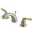 Satin Nickel/Polished brass is out of stock