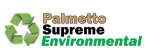 Palmetto Logo
