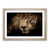 Oak Single Picture Frame Wood
