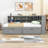 Broadview Wooden DayBed with 2 Drawers and Storage and USB-540800091