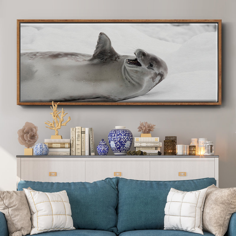 Laughing Seal- Framed Canvas