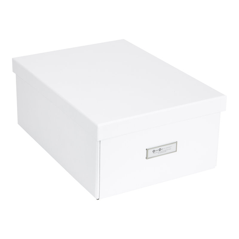 Collapsible Storage Box, White