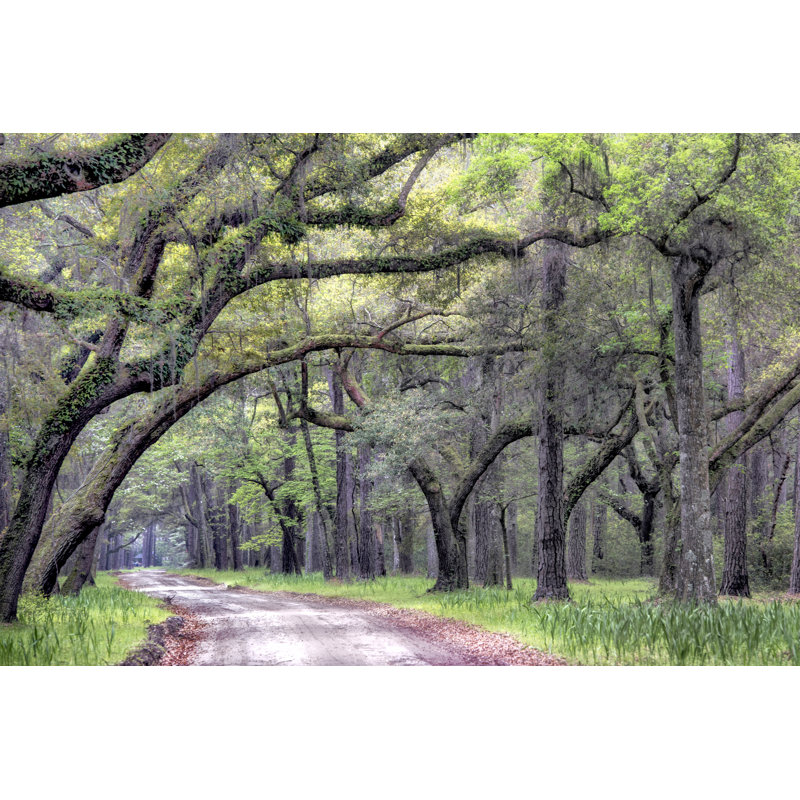 Dirt Road I - Graphic Art, Black Floater Framed, 81 cm H x 122 cm W