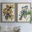 Pl 107 Canada Jay - 2 pièces, reproduction d'art sur toile-46465713-46465717