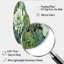 Lonsdale - Succulent Curved Shape Assymterical Metal, art mural-110469009