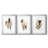 Rustic Horse I  -Custom Framed  Premium Print W Matt - 3 Pieces-28239222-28239219