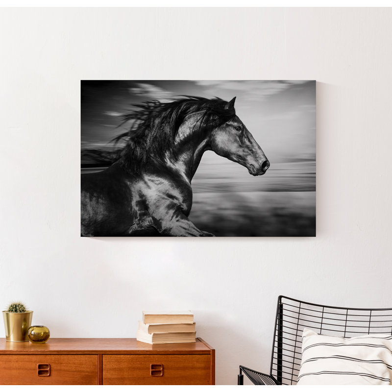 Reproduction de photo sur toile tendue cheval