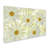 'Daisy Flowers' Photographic Print on Wrapped Canvas-32709488