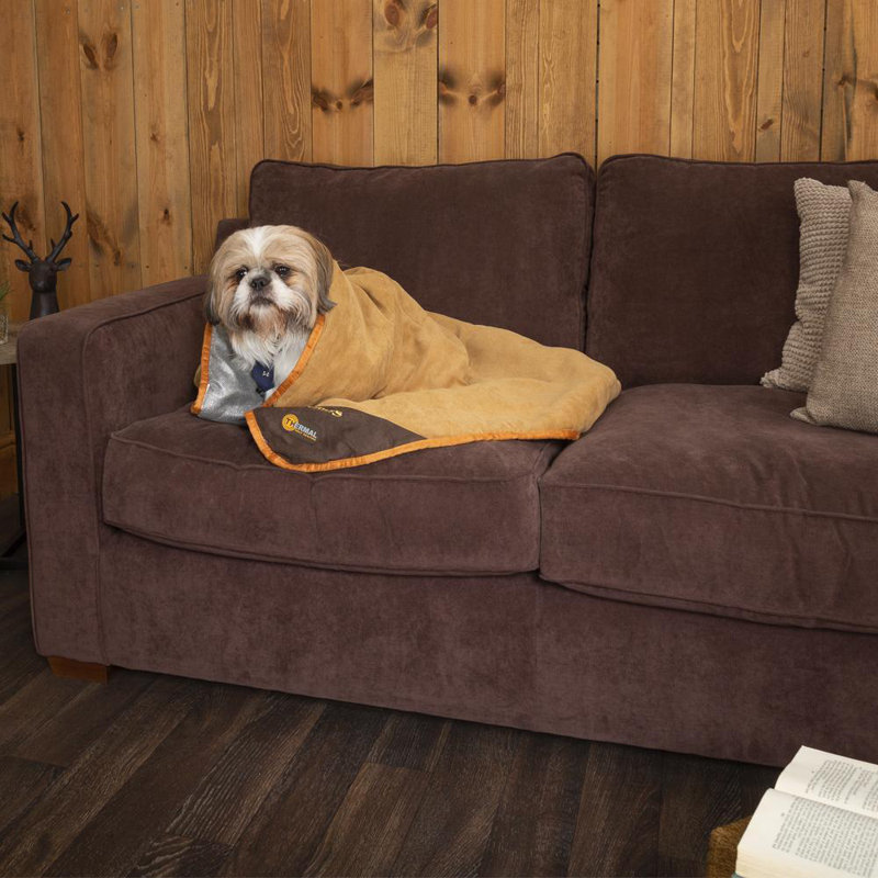 Polyester Pet Bed, Brown