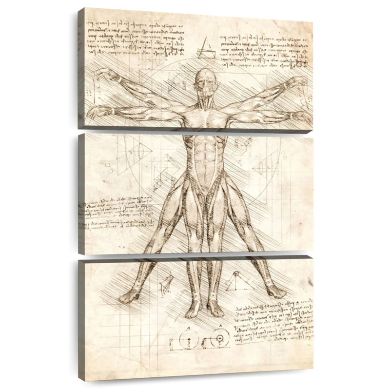 Keiri Vitruvian Man, 38" H x 24" W