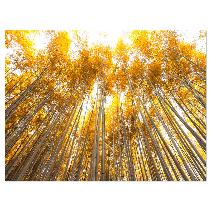 «Autumn Bamboo Grove», reproduction de photo sur toile tendue, H 8 po x l 12 po x P 1 po