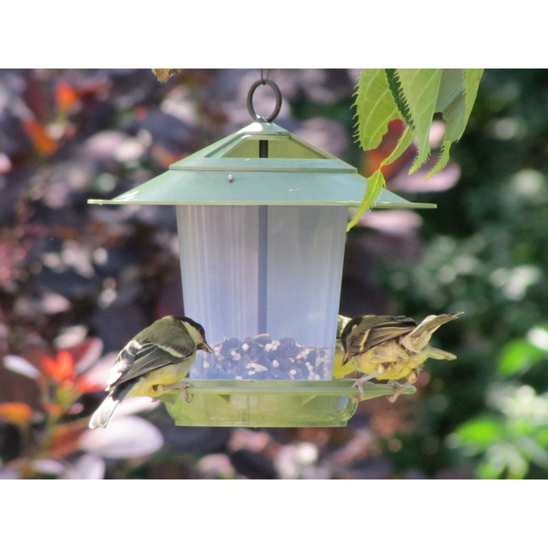 Mangeoire d’oiseaux à trémie bain