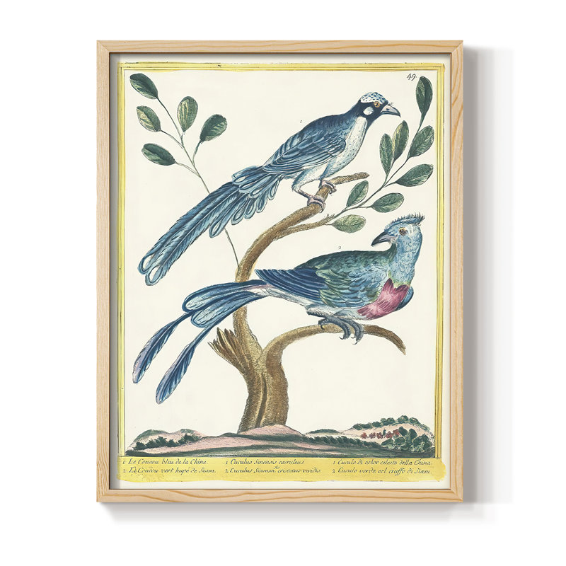 «Pastel Birds VI», reproduction encadrée - bois massif