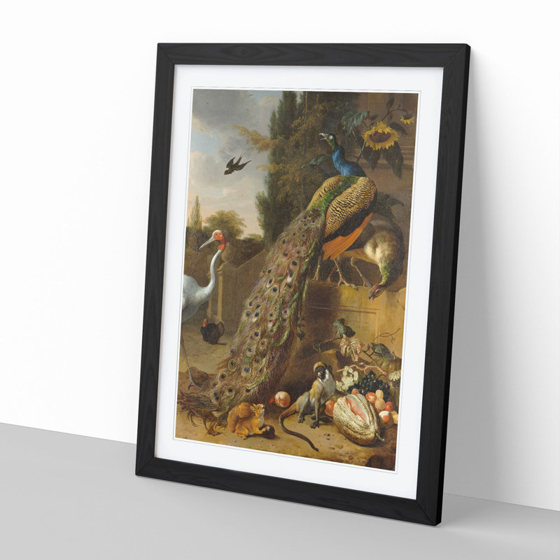Peacocks by Melchior D'Hondecoeter - Picture Frame Painting, Black Framed, 48cm H x 36cm W x 2cm D