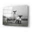Art mural en verre épique «Islay Sheep 1» par Laura Marshall-1394920052