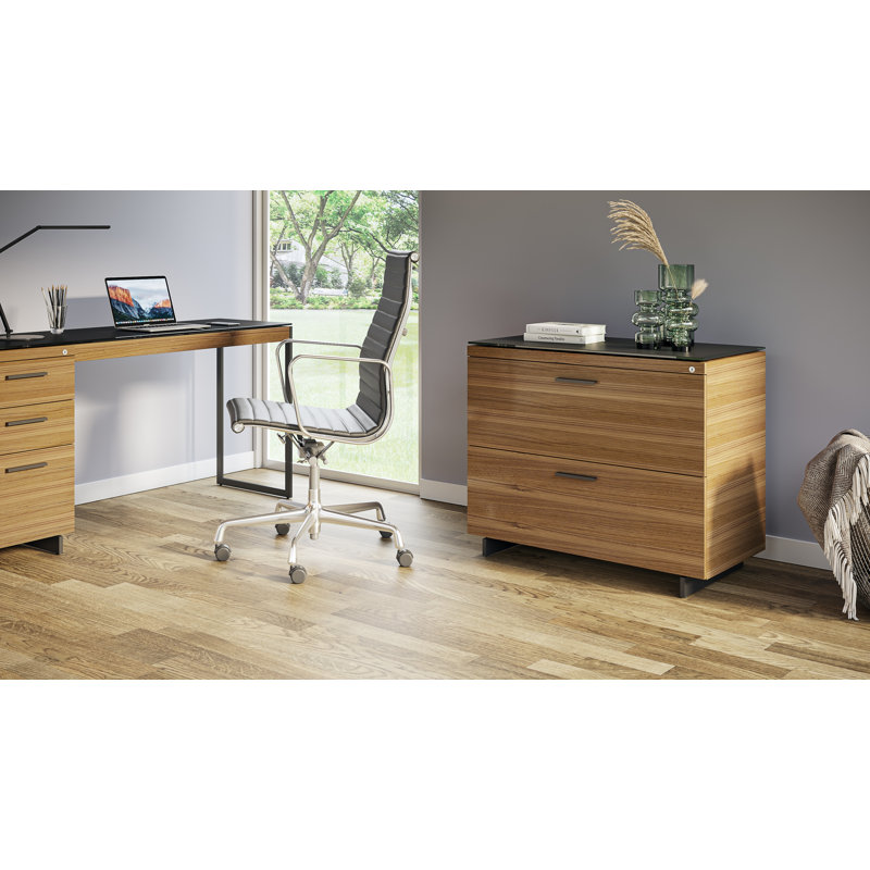 Sequel 20 2 - Drawer File Cabinet, Natural Walnut/Black