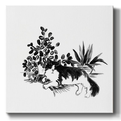 " Purrfect House Plants IV "