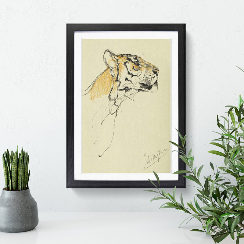 Study of a Tiger Vol.2 by John Macallan Swan - Framed Print, Black Framed, 48cm H x 36cm W x 2cm D