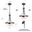 Rae 3 - Light Single Pendant