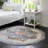 Oriental Indoor Rug-557689041