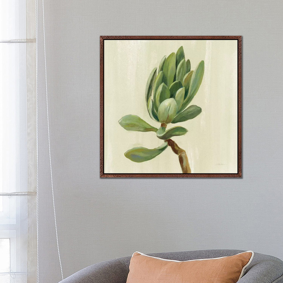 Front Yard Succulent III von Silvia Vassileva - Galerie-verpackte Leinwand Giclée auf Leinwand