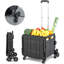 155 lb Chariot à main capacité pliable
