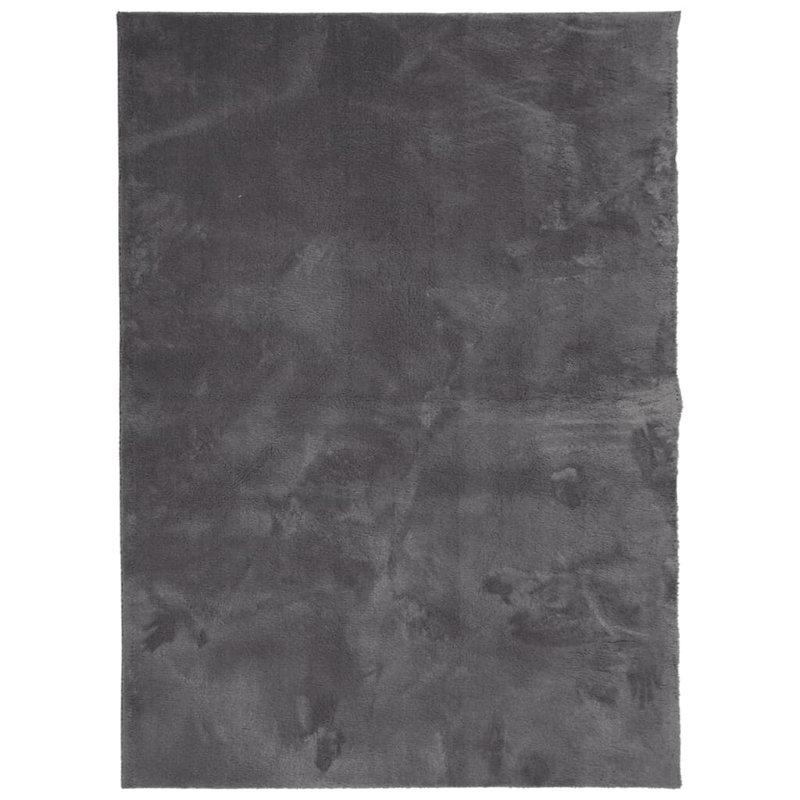 Rug "HUARTE" Short Pile Soft and Washable Anthracite, Rectangle 120 x 170cm