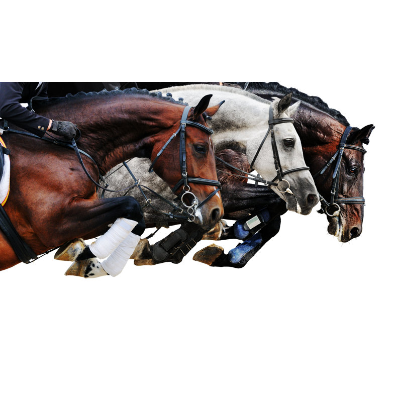 Trio de sauts de cheval sur fond blanc, H 24 po x l 48 po x P 1,5 po