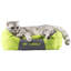 Lit pour chat rectangulaire Donnelly