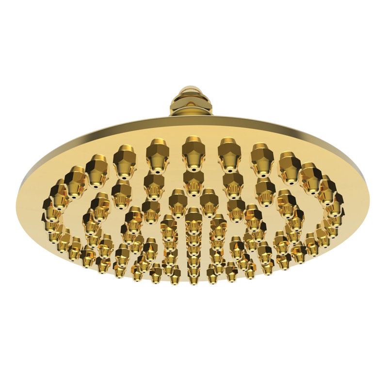 Single Function Shower Head, Forever Brass