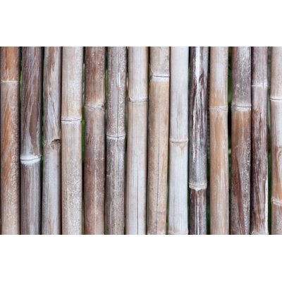 Fond en bambou par Webphotographeer