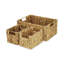 Ensemble de 3 bacs en ruppie maritime