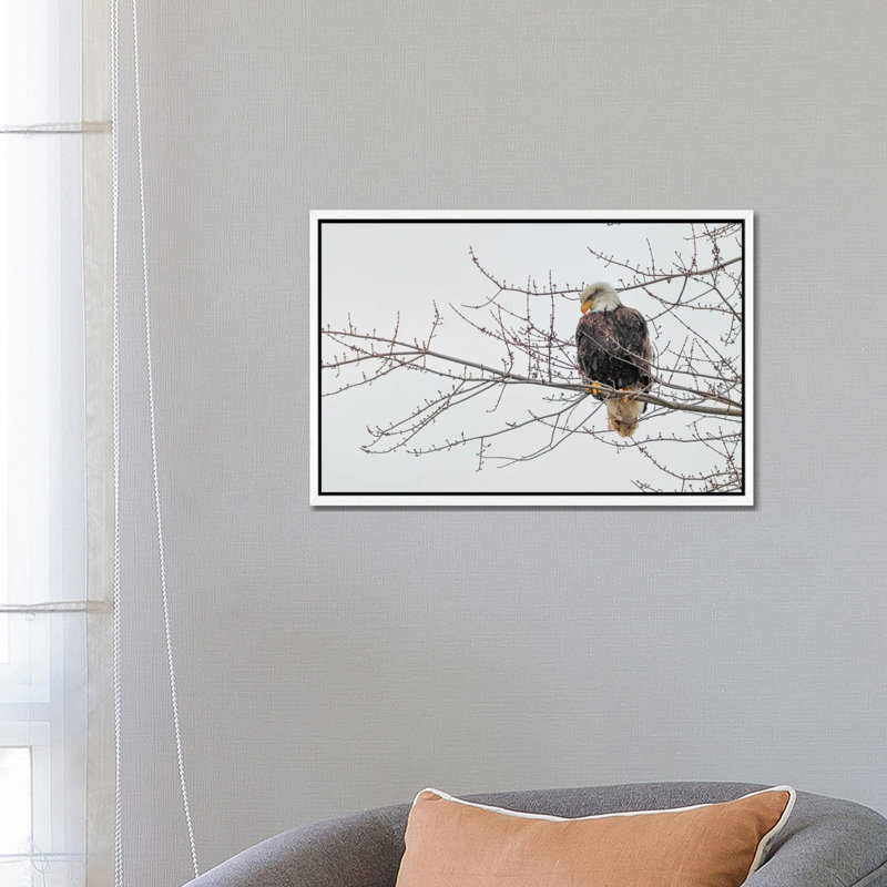 Eagle Perch II 1 Piece Wall Art on Canvas, 66.04 cm H x 45.72 cm W, White Framed