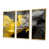 Gold Floater Framed