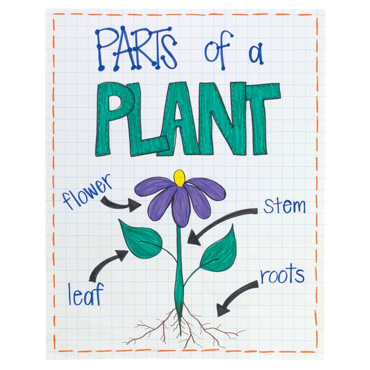 Quick and Easy Tabletop Anchor Chart Stands!