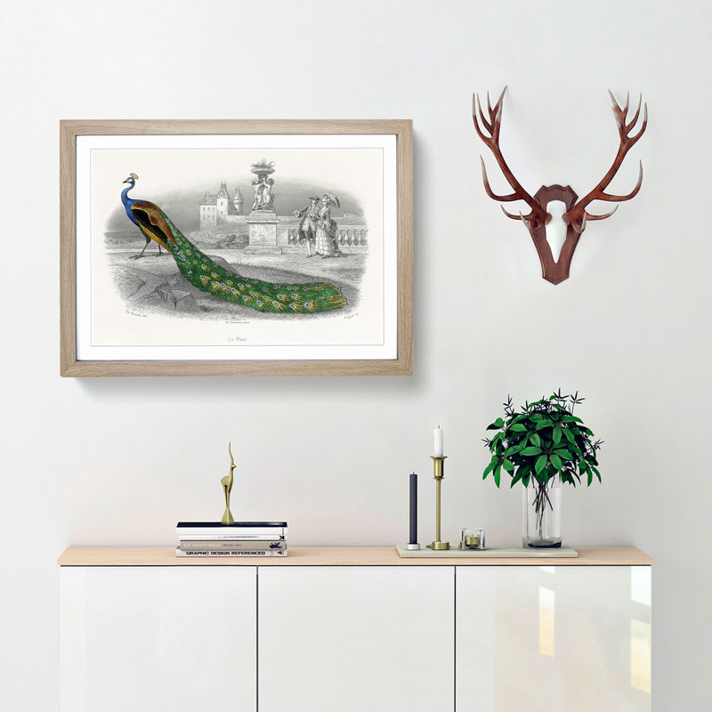 Admiring a Peacock - Picture Frame Painting Print, Oak Framed, 36cm H x 48cm W x 2cm D
